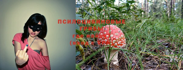 герыч Богородицк
