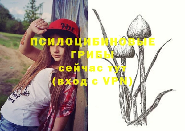 Альфа ПВП Богородск