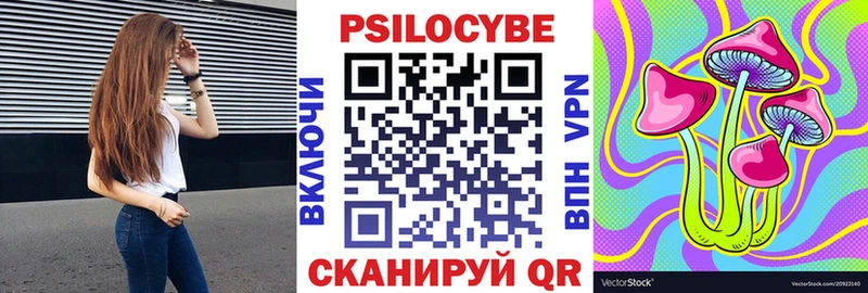 Псилоцибиновые грибы Psilocybe  Купить  Оренбург 